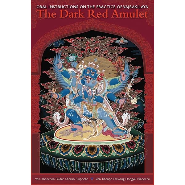 Amazon.com: Visions of a Huichol Shaman: 9781931707978: Furst